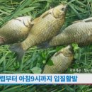 청도대구낚시(수릿대닷컴) 이미지