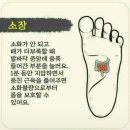 발마사지 Daum카페