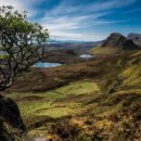 (주)바이오플랫폼 이미지