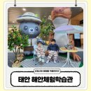 몽산포 태안 해안체험학습관 갯벌 전시실 실내 놀이터 예약 방법