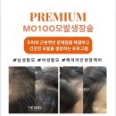 오늘;헤어 네이버블로그