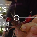 박스(Park.s) 이미지