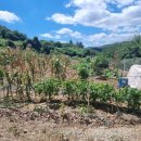 세명농장 이미지