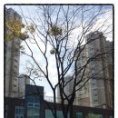 햇동어린이공원 네이버블로그