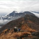 담양의 최고봉 병풍산~삼인산 이미지