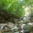 사북읍 도사곡정수장내 | 강원도 정선 가볼만한곳, 도사곡자연휴양림,운암정(하이원리조트),황소식육실비식당