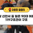 해피멍 이미지