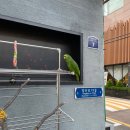 &lt;영등포 더함한우골&gt; 식신로드, 생생정보통 등 다양한 방송 출연한 영등포 한우 맛집