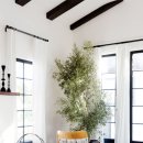 식물 인테리어 이미지