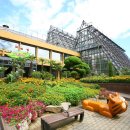 제니스병원 이미지