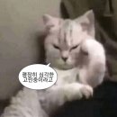 깜짝 이미지