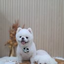 펫 아지트 이미지
