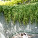 유서포트 이미지
