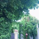 송학초밥 이미지