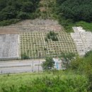 홍천휴게주유소 이미지