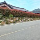 우리한옥민박약산한옥민박