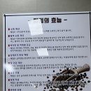 은석식당 | 대전오월드맛집 아이랑 먹기 좋은 뿌리깊은석갈비막국수