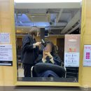 명동미용실추천 이철헤어커커명동1호점 클리닉 후기 승현 실장님