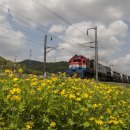 기차길옆 이미지