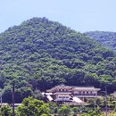 율티경로당 Daum카페