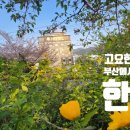고요한 시간, 부산에서 보내는 한 달[고요한호텔]