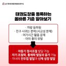 브레인태권도 네이버블로그