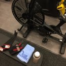 더 디짐 이미지