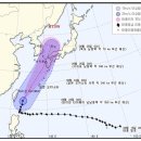 태풍상회 이미지