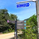 치악산둘레길 9코스 자작나무길 | 치악산 둘레길 9코스 자작나무길 - 2023. 10. 7