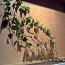 마미디저트 이미지