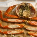 게딱지볶음밥 원탑 강릉 대게 정동진맛집 바다마을횟집