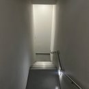 일일향 강남점
