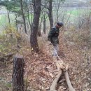 용선축산 Daum카페