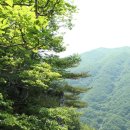 밀양고등학교 이미지