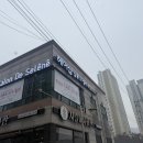 셀레네헤어 이미지