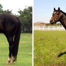 물밑목장 이미지