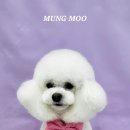 MUNG MOO 이미지