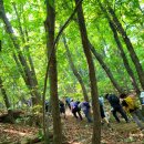 (등업신청)관악산 둘레길코스(7월30일) 이미지