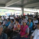 황금물결 농장 이미지