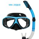 블루비타 이미지