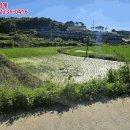 상거리정류장 네이버블로그