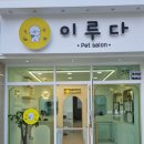 이루다 펫살롱 이미지