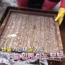 화자씨 이미지