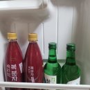 전국 | 고려원 야심작 ㅣ 전국유일 복분자막걸리 솔직리뷰후기 ( + 안주추천 )