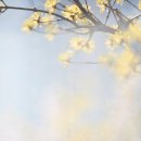 왕바위길 이미지