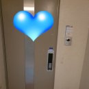 거진한우마트 이미지