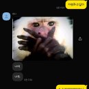 윤해지 이미지