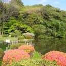 코우엔[公園]
