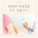 (주)사노피-아벤티스코리아 | 백일해 예방접종 가격 증상 주사 임산부 접종시기