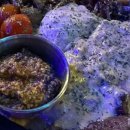 라운지펍 도도 이미지